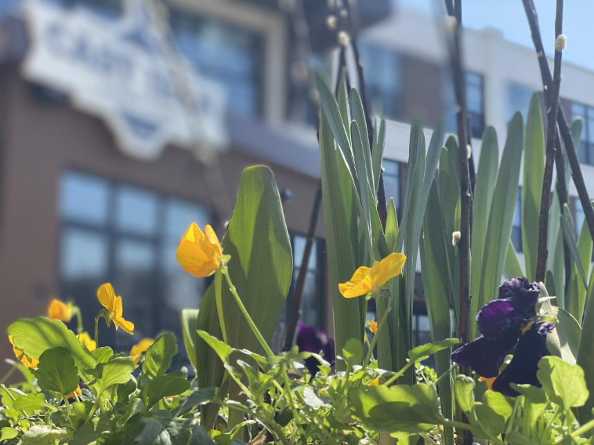 계절의 변화를 세분화한 24 절기 중 '춘분' 이해하기