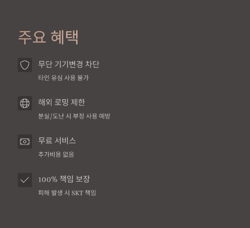 SK텔레콤 유심보호서비스 