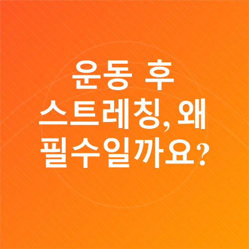 운동 후 스트레칭_1