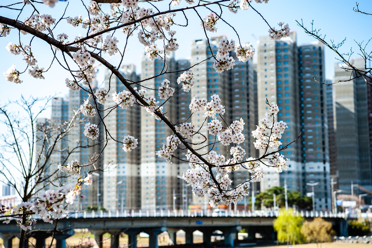 아파트 사진