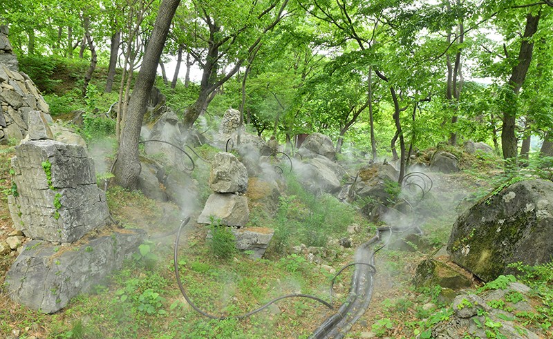 화순 무등산 바우정원 이끼정원