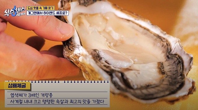 식스센스 시티투어 강남 이동자 오마카세 철권게이머 무당