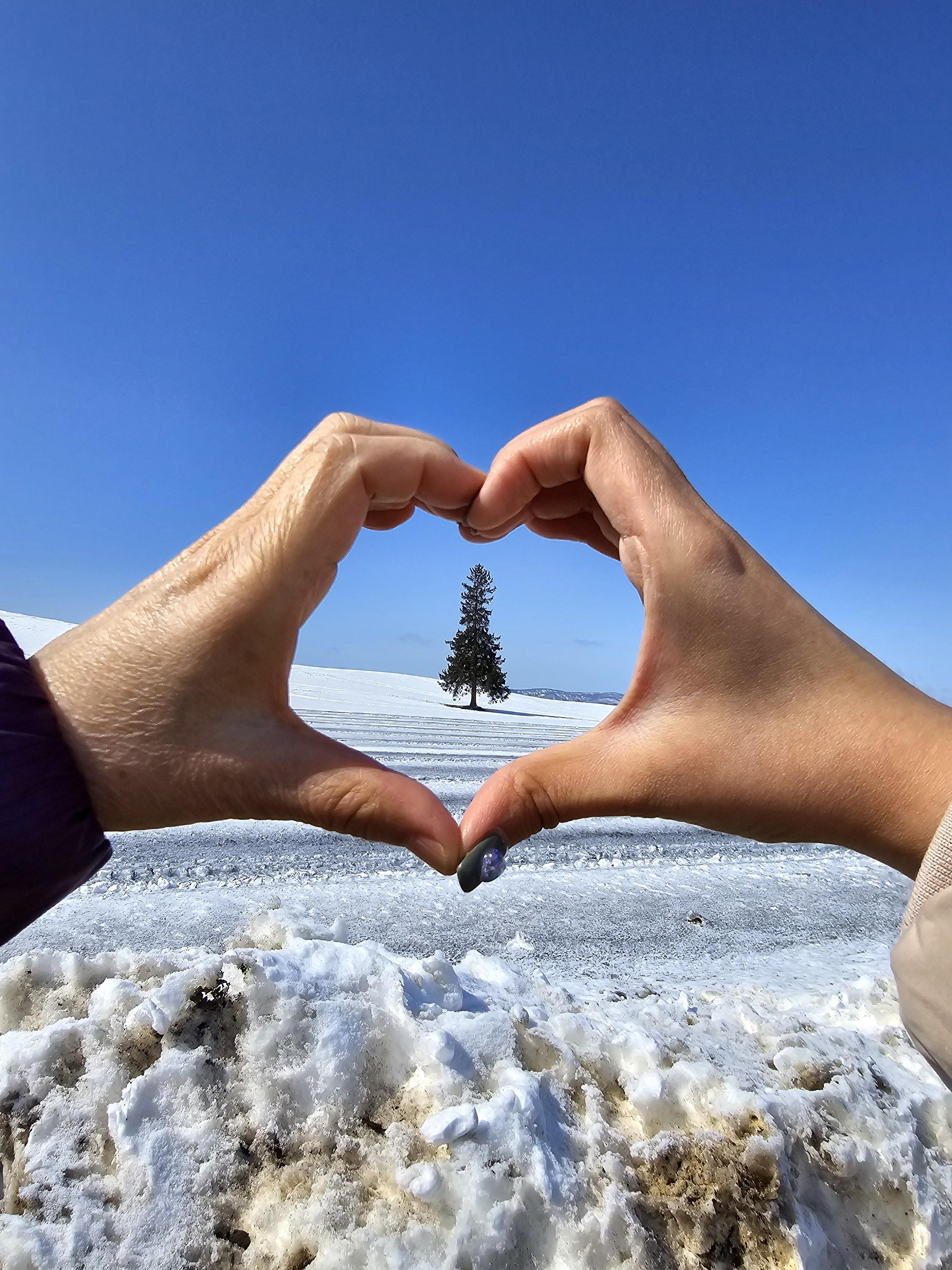 크리스마스트리