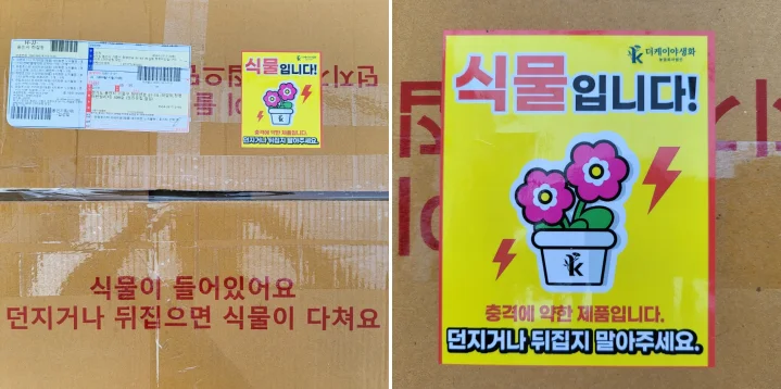 택배박스-식물문구