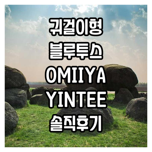 귀걸이형 블루투스 이어폰 추천 OMI..