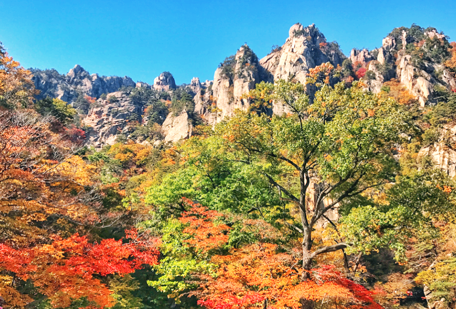 설악산 단풍