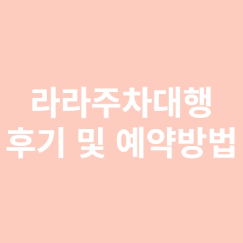 라라주차,김포공항 주차대행