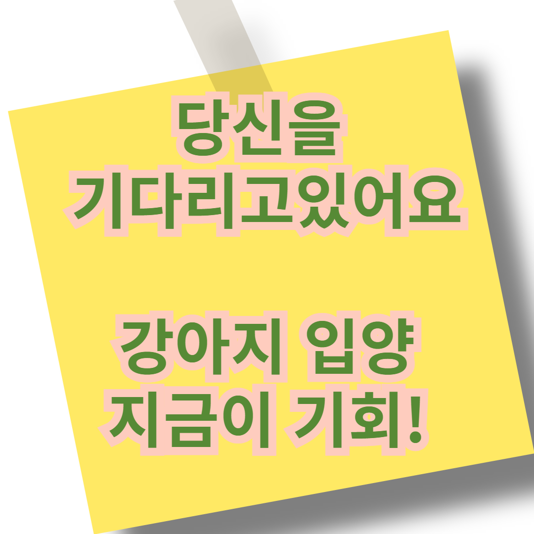 강아지의 적정 체중과 건강 관리