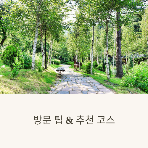 아침고요수목원 수국전시회