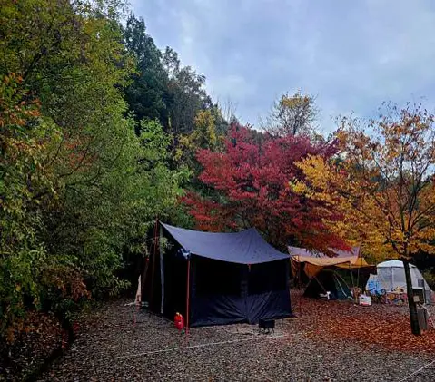 산새소리캠핑장