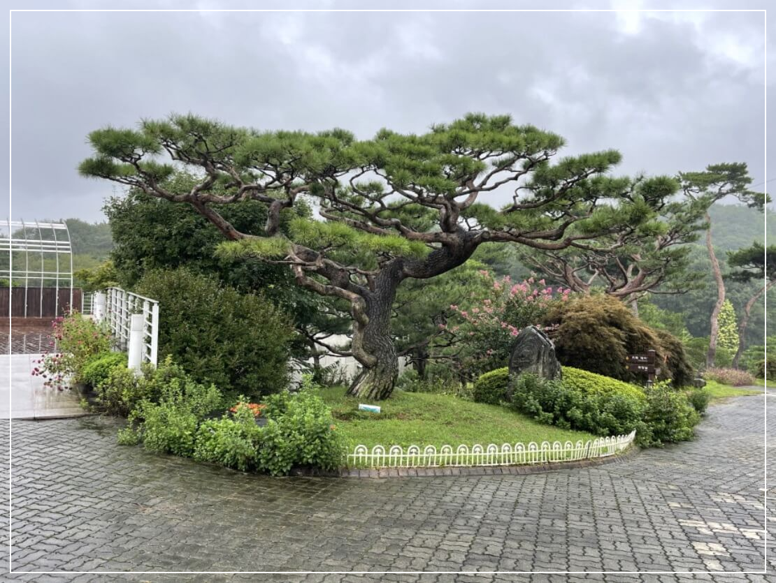 홍성 가볼만한곳 베스트10 그림같은 수목원