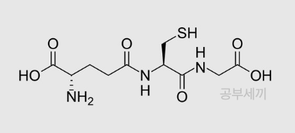 글루타치온