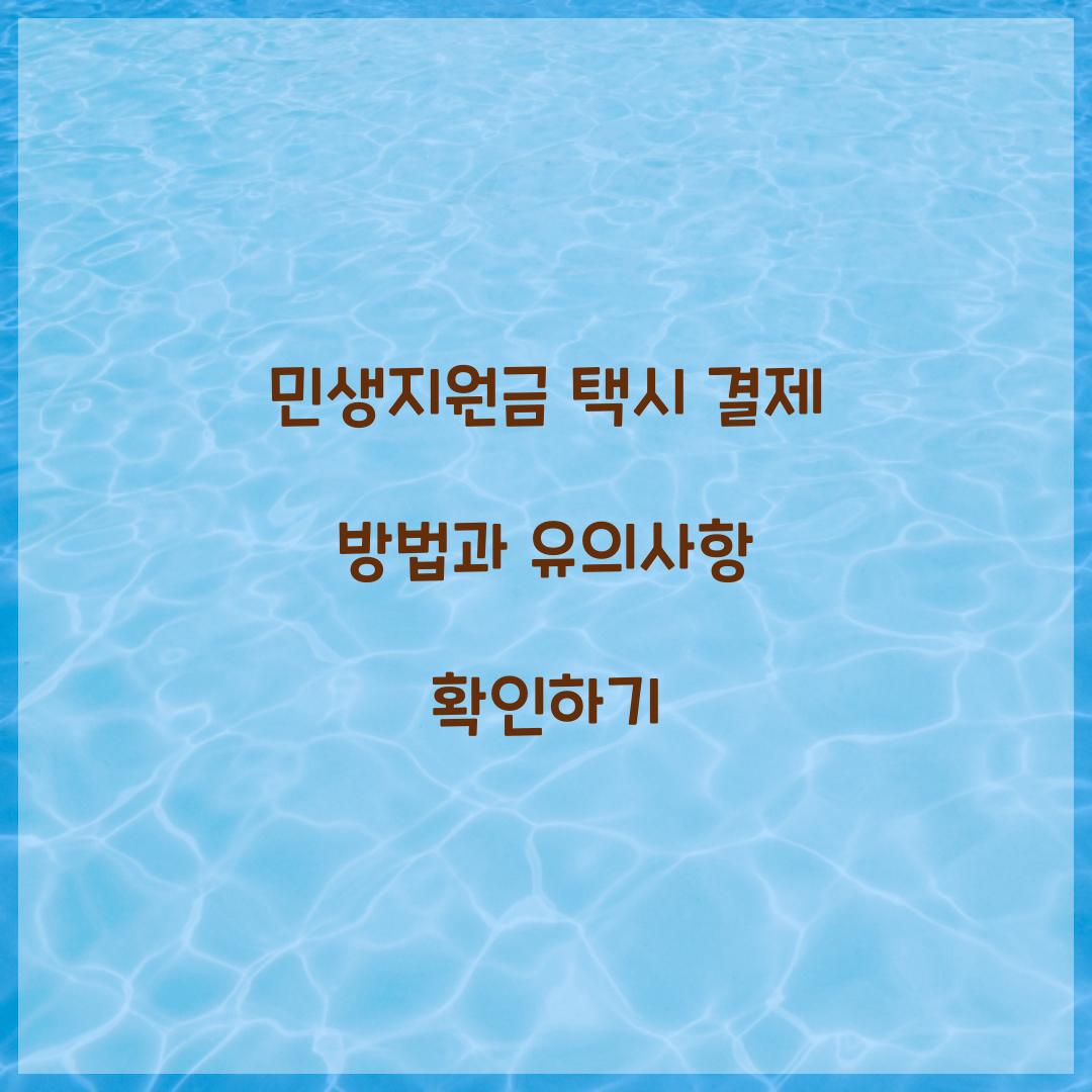 민생지원금 택시 결제