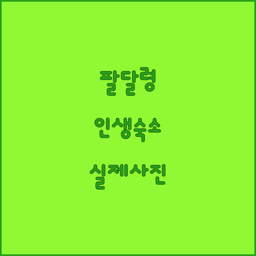 중국 베이징 팔달령 여행 필수 숙소 ..