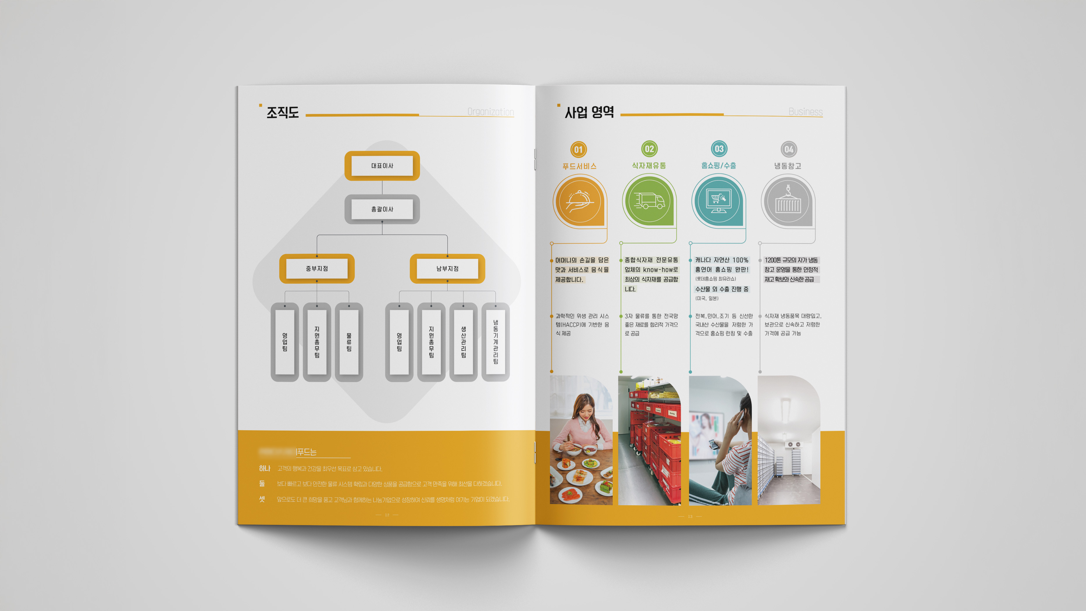 조직도와 사업영역 비포 디자인 (회사소개서 브로슈어)