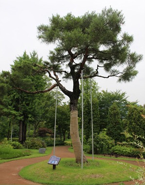 순천만 국가정원