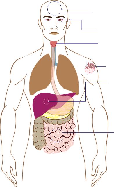 나에게 맞는 기능의학 검사 선택법