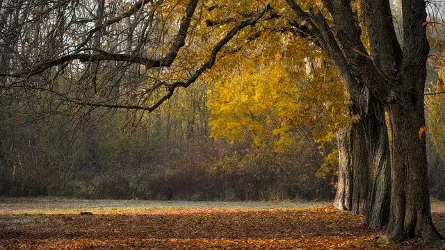 화담숲 예약 방법