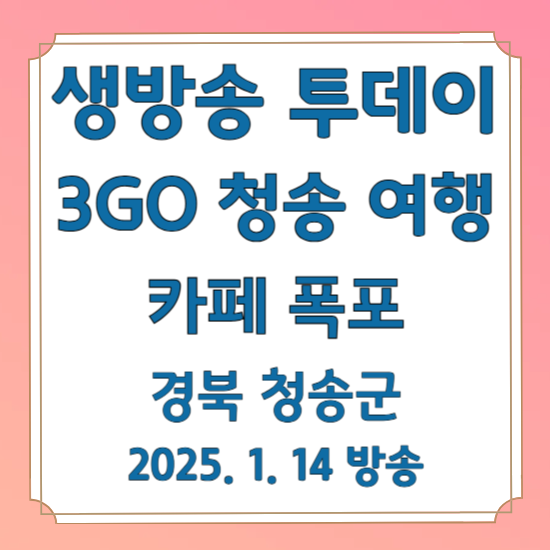 생방송 투데이 3GO
