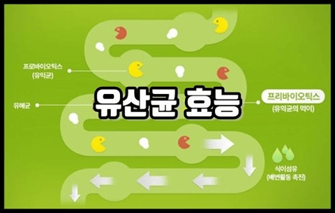중장년 건강기능식품 추천 TOP 5