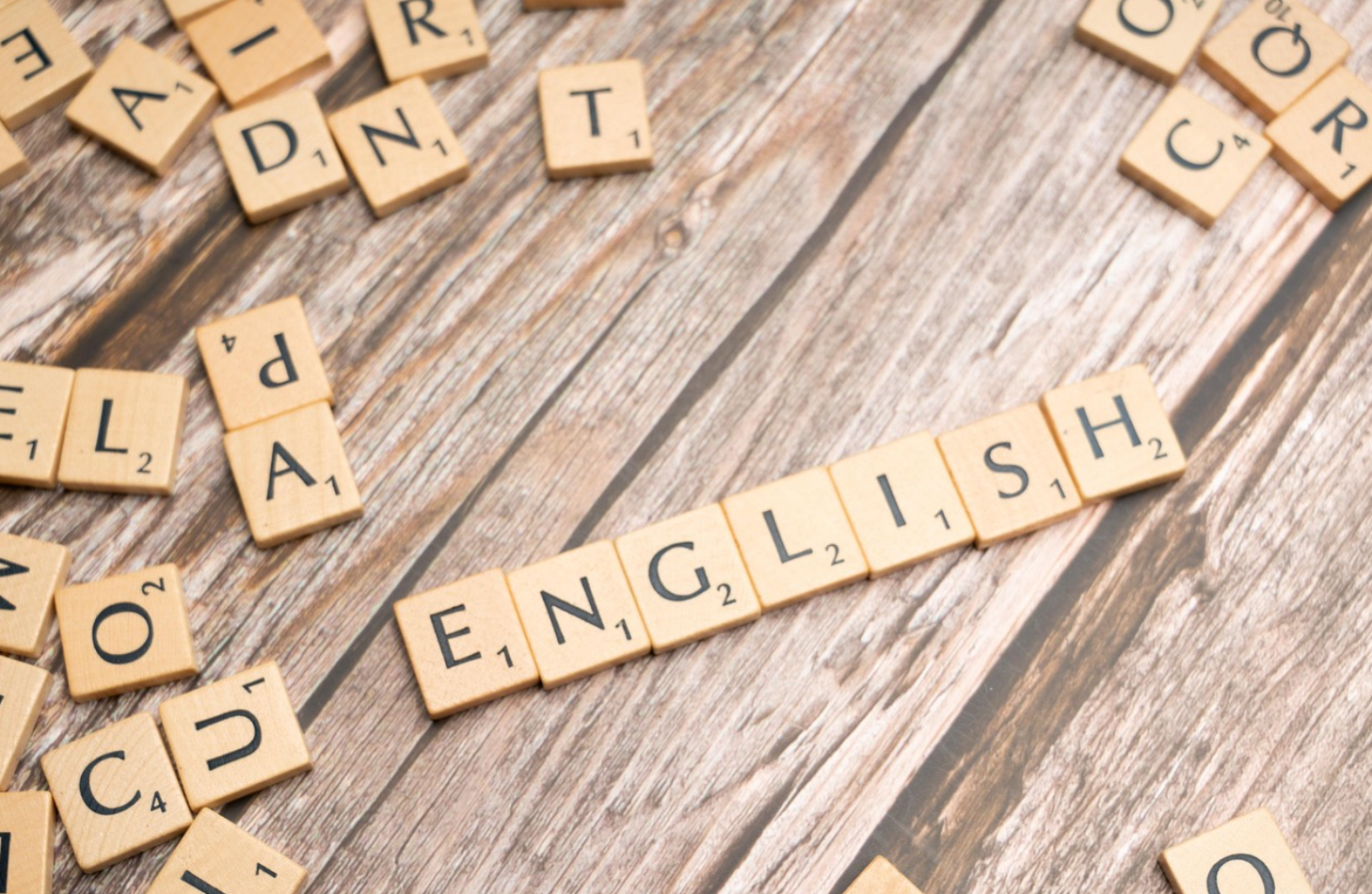 영어 관련 사진