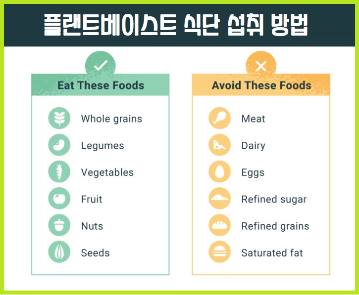 플랜트베이스드 다이어트 섭취방법