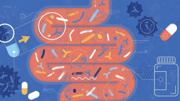 헬리코박터균 자주 묻는 질문 FAQ