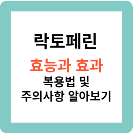 락토페린 효능과 효과 복용법 및 주의사항