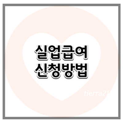 실업급여 신청방법, 처음부터 끝까지 정리 (2025년 기준)