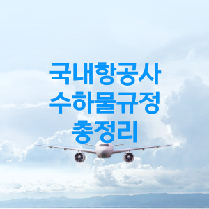 국내항공사 수하물 규정 총 정리