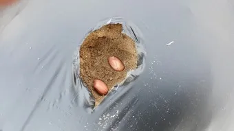 땅콩 심는 시기 수확시기 모종 파종_4