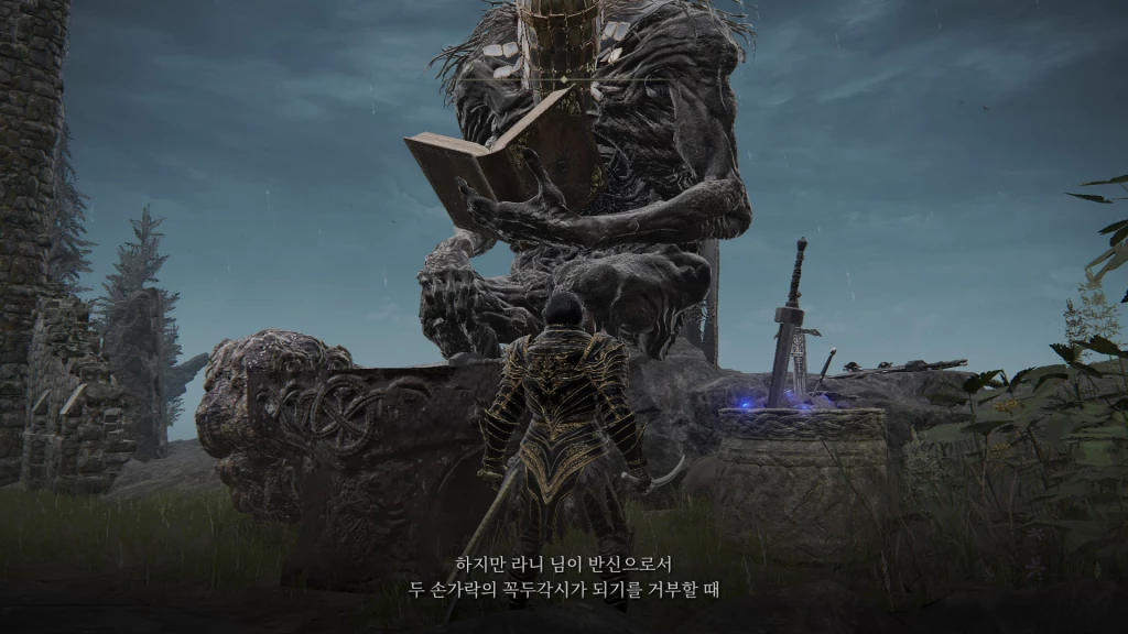거부용