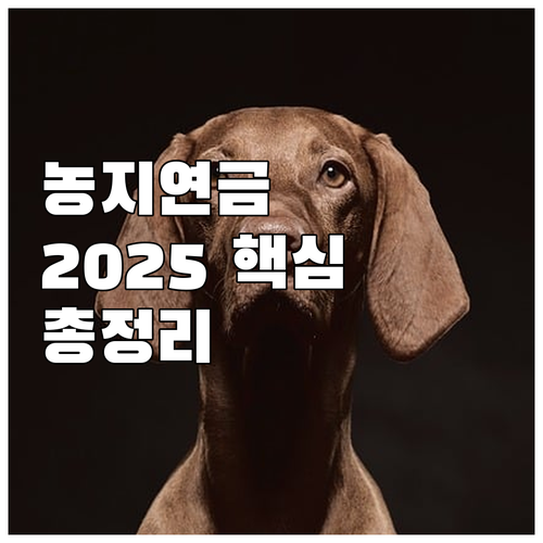 농지연금 2025 핵심 요약 자격 조..