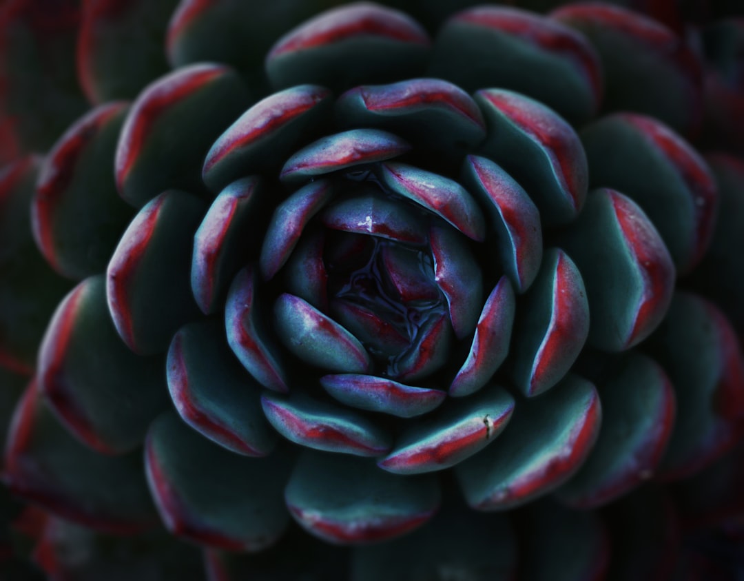 'deep'