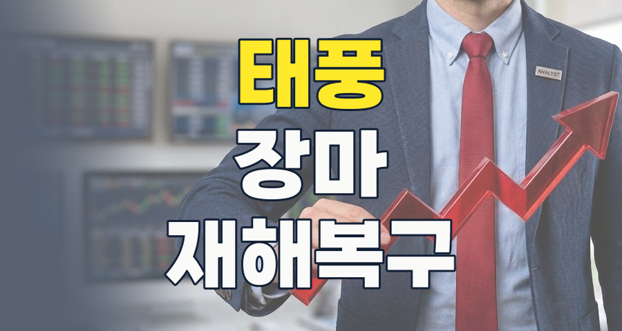 2026년 여름 투자 전략: 태풍과 장마, 위기 속 기회를 잡아라!