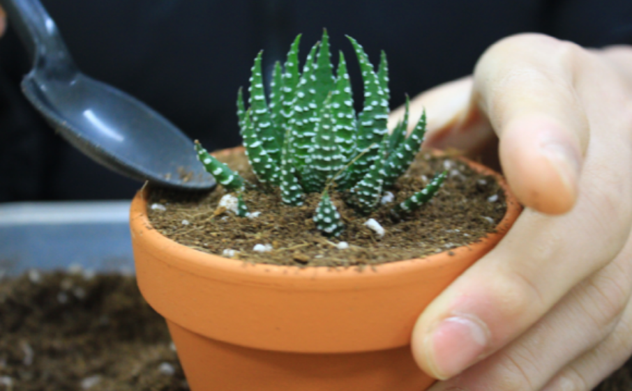 양평_빙송어축제_수미체험패키지