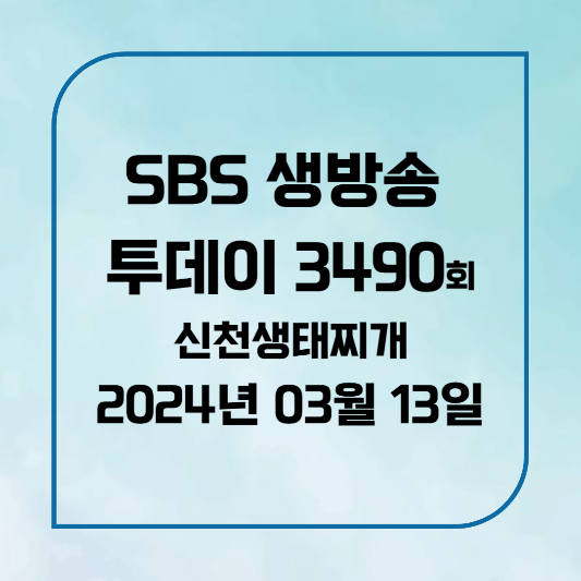 SBS 생방송 투데이 3490회 신천생태찌개