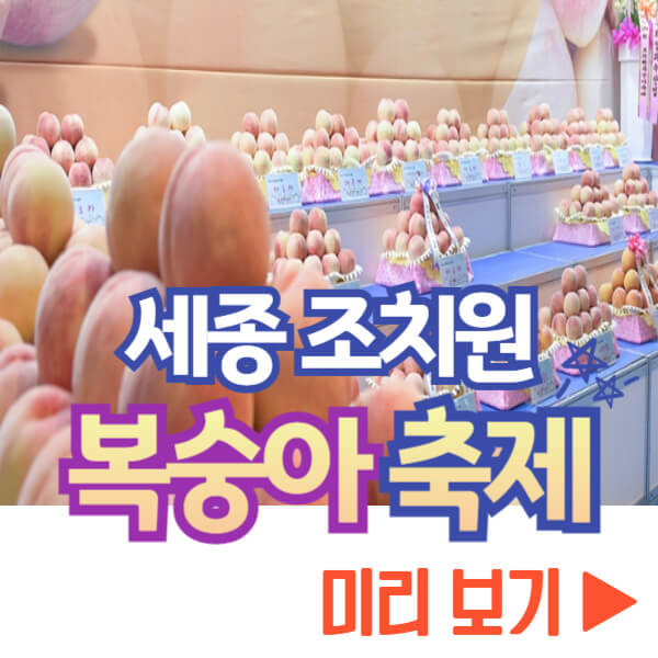 조치원 복숭아 축제