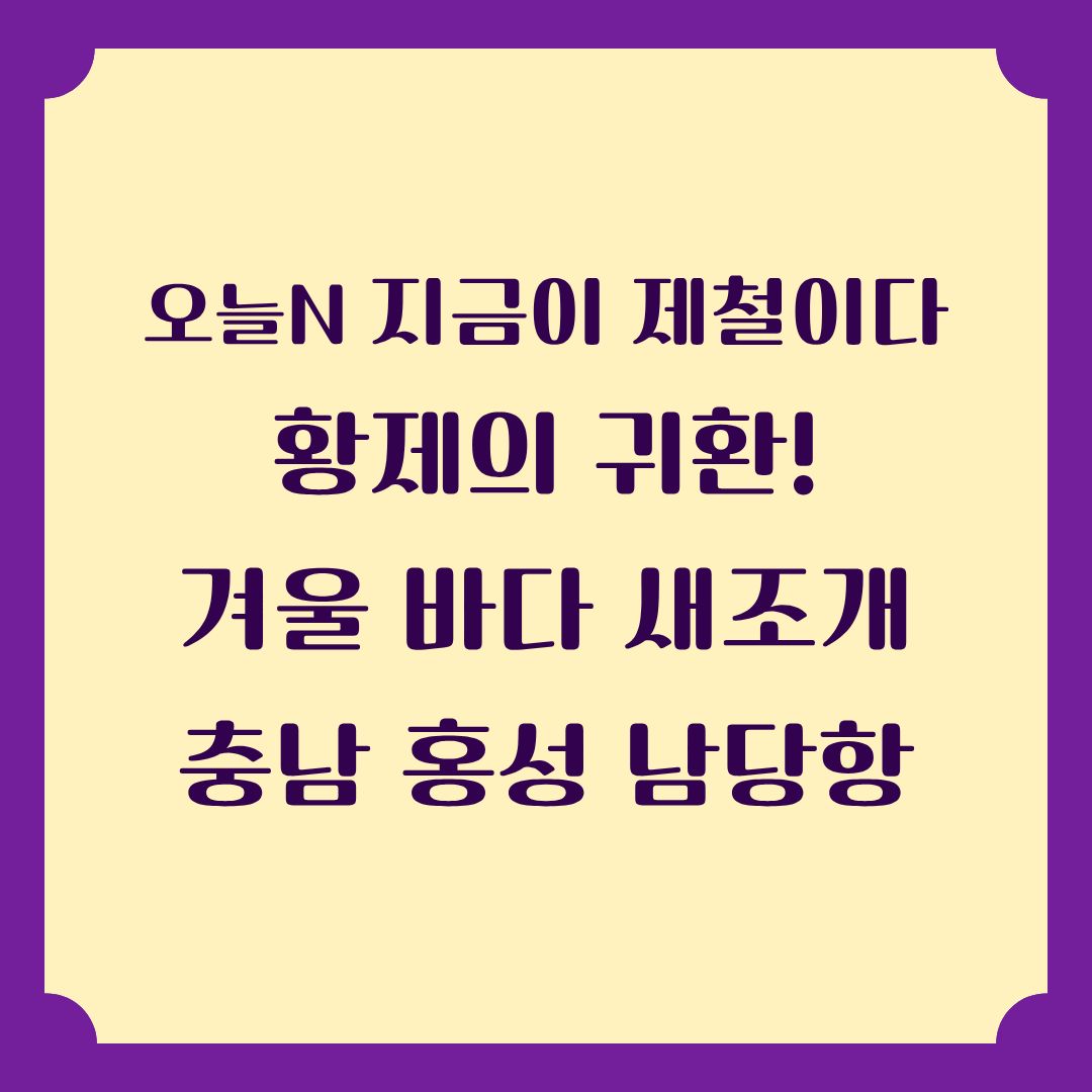 오늘N [지금이 제철] 홍성 남당항 새조개 냉이 샤브샤브 맛집 위치 정보