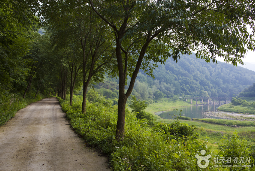 정읍 구절초지방정원