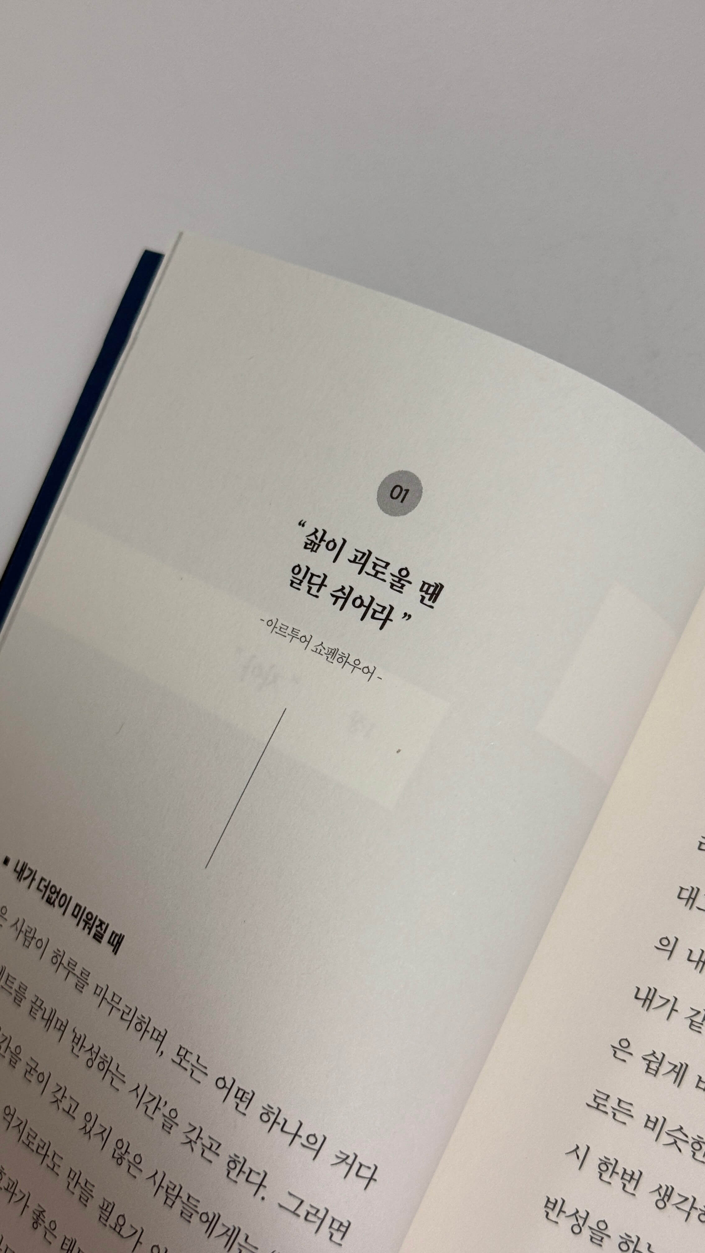 쇼펜하우어 인생수업