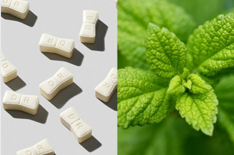 듀오렉신 나비정 부작용, 후기, 복용법