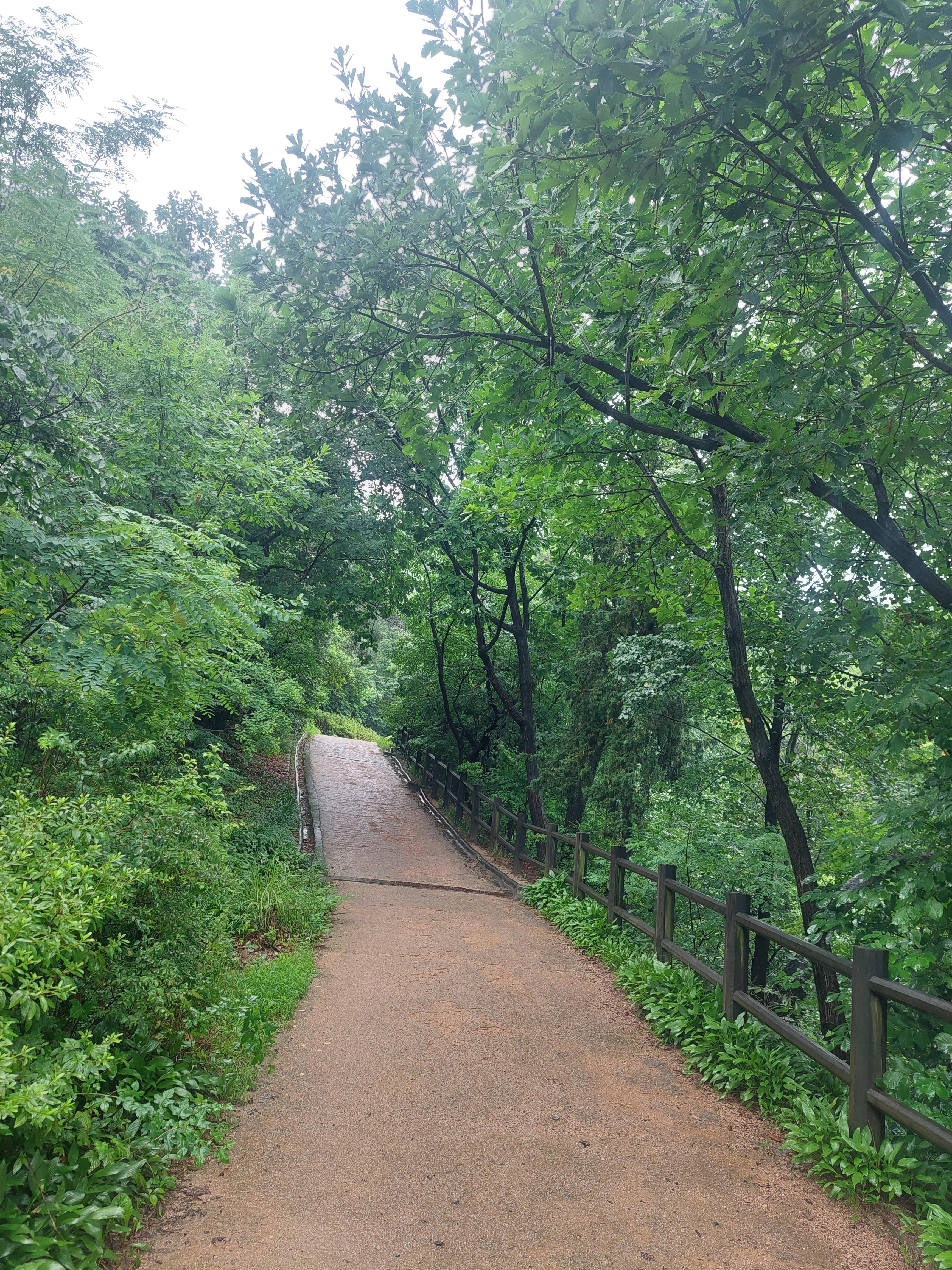 남산매봉산