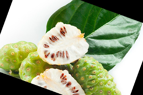 노니 효능 부작용 주스 복용법