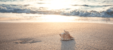 무더운 여름 인사말