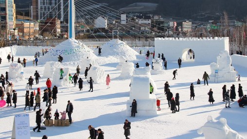 겨울축제 대관령 눈꽃축제