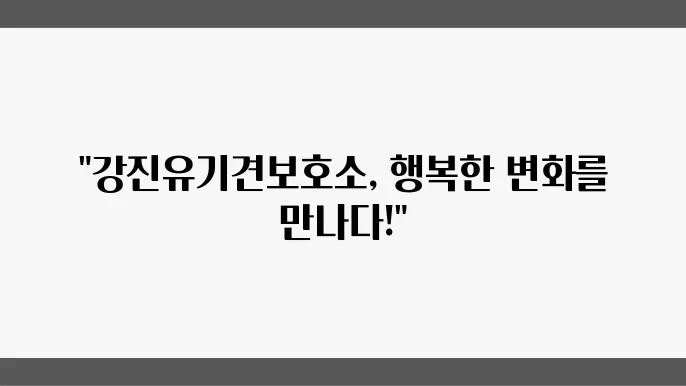유기견보호소 활기찬 아이들 강진유기견보호소