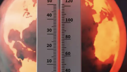 장염 증상 14