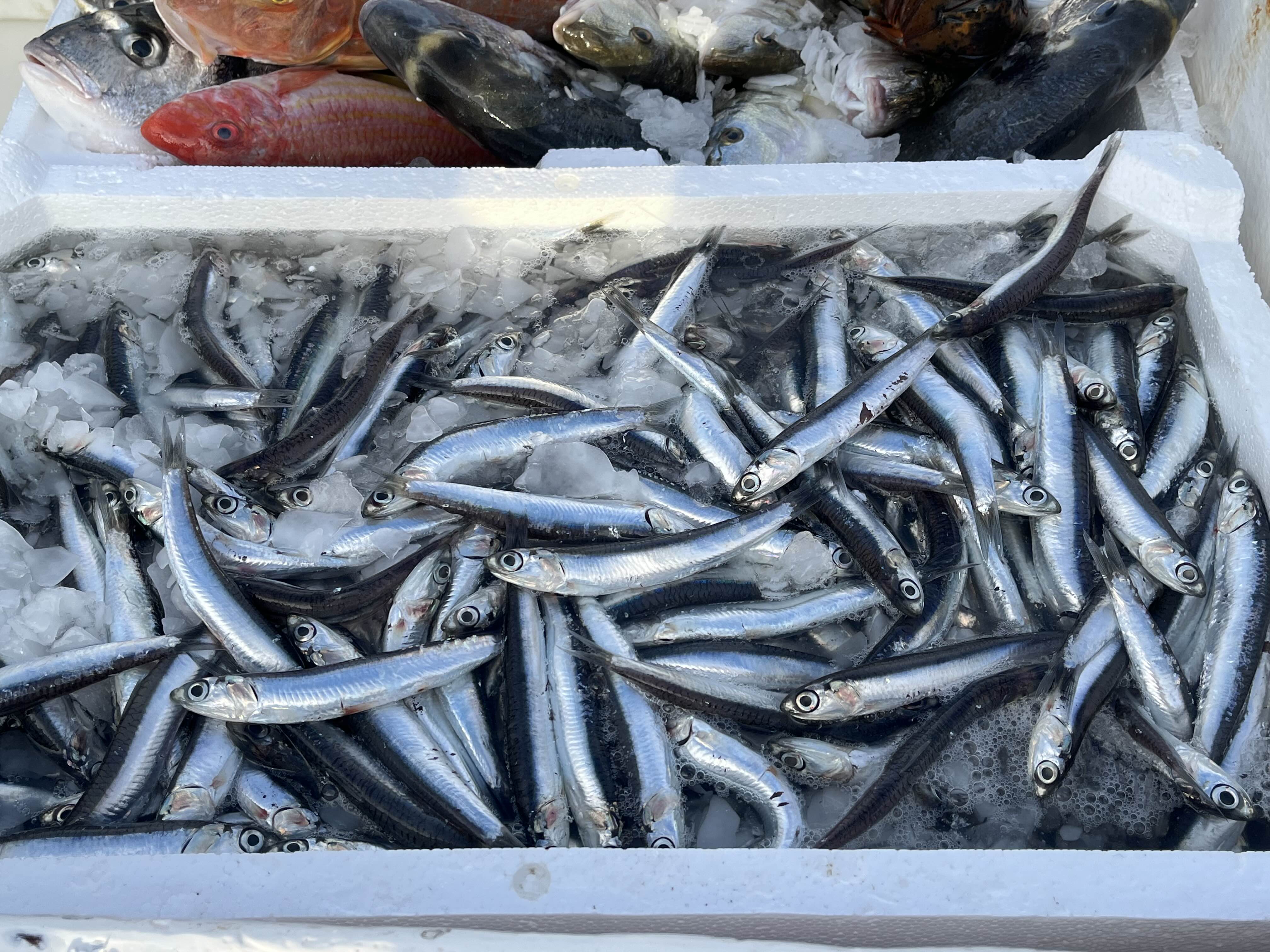 이탈리아 남부여행