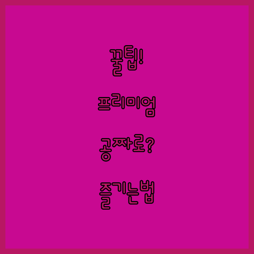 포켓몬GO 프리미엄 아이템 부담 없이..